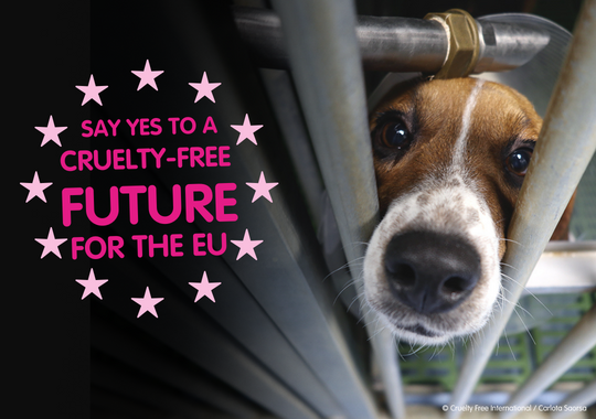 https://www.crueltyfreeeurope.org/