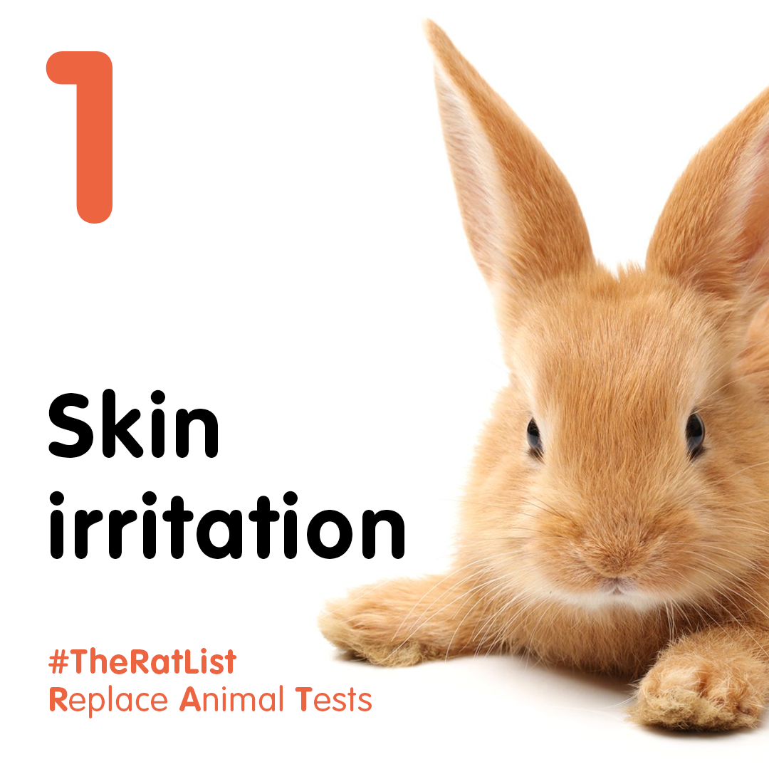 1 - Skin Irritation - RAT List