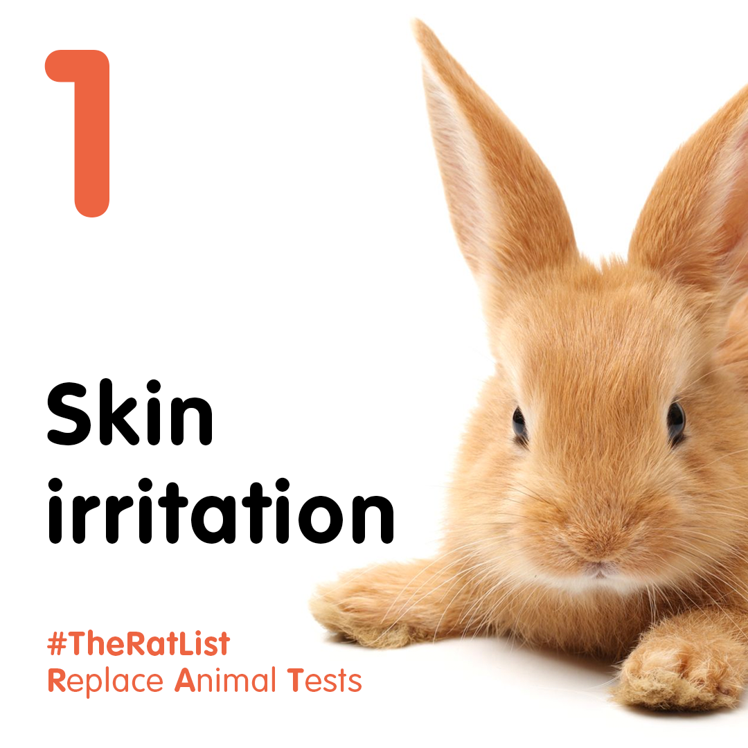 animal experimentation rabbits