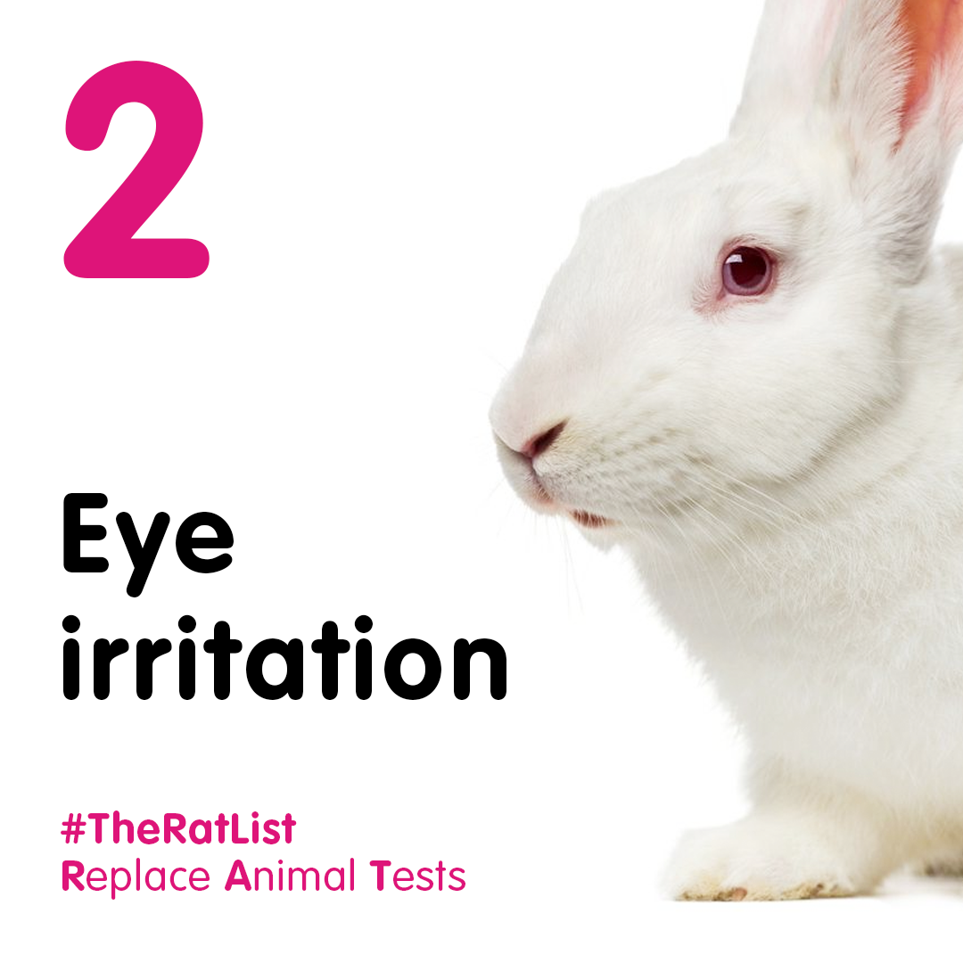Replace Animal Tests: the RAT list | Cruelty Free Europe