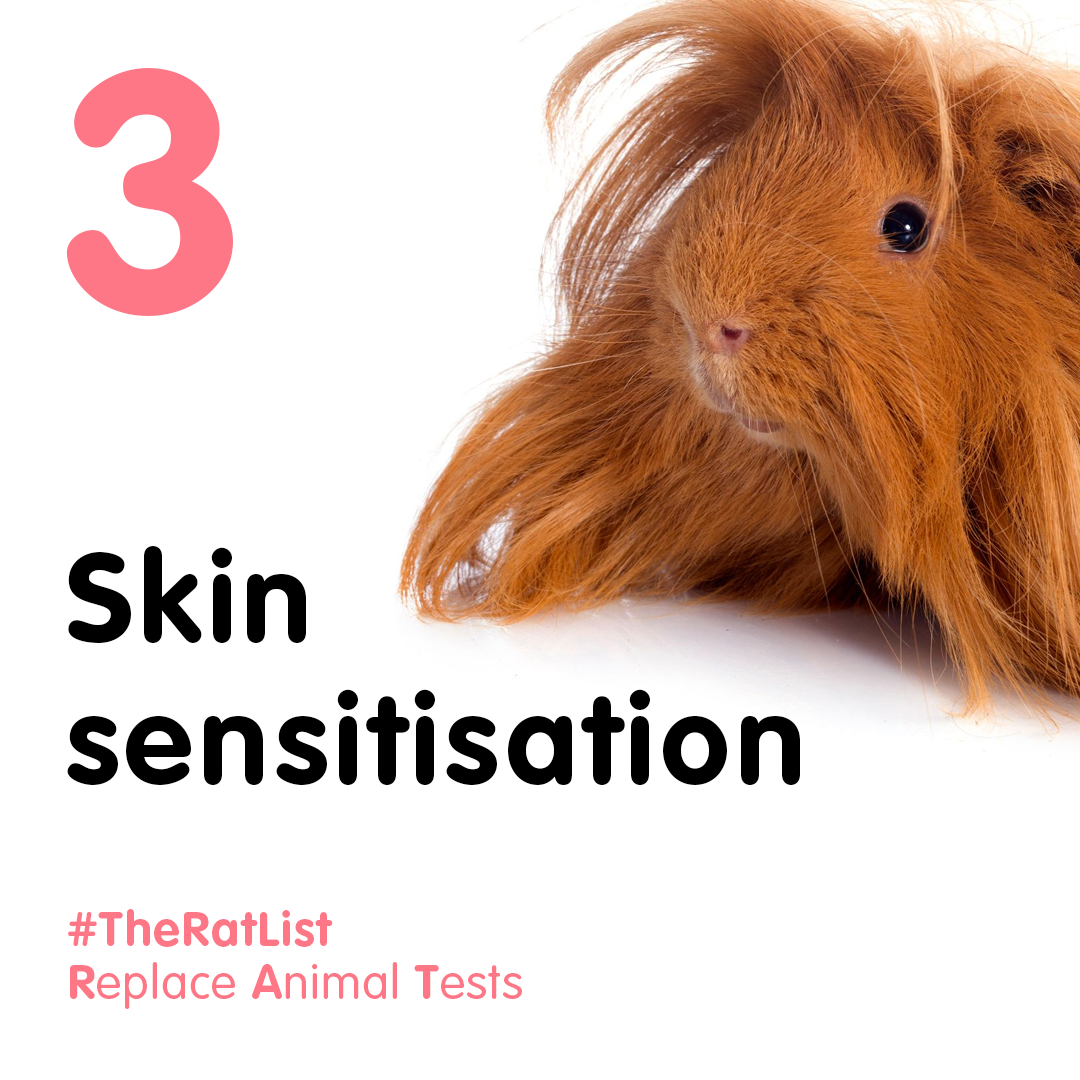 3 - Skin Sensitisation - RAT List